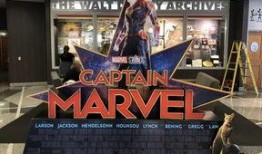 最新爆料队长是谁啊图片,队长身份大揭秘！